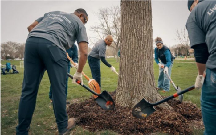 volunteers digging