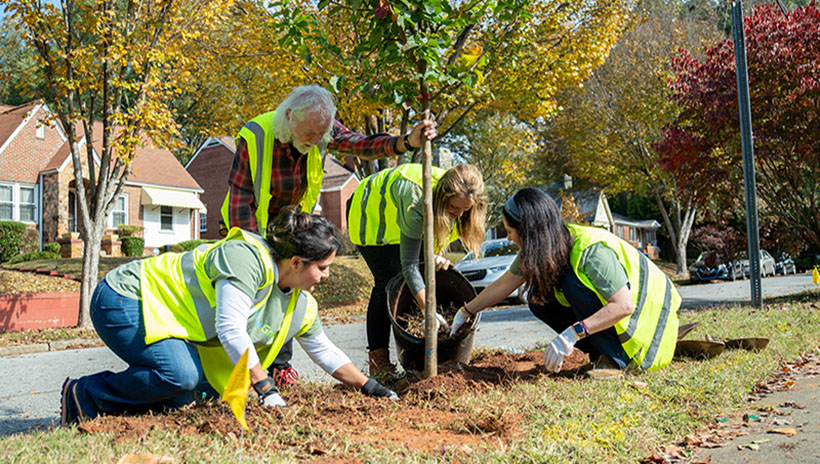 Group of people planting a tree